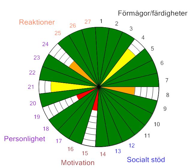 Idrottspsykologiskt test